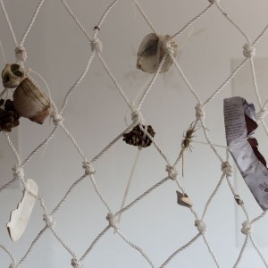 http://christianbujold.com:443/files/gimgs/th-73__BUJ6498.jpg